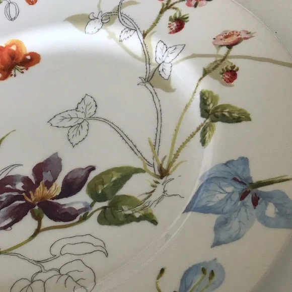 Royal Stafford Sketchbook 11” Dinner Plate! - Picture 4 of 4